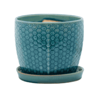 Sea Blue Prism Planter