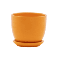 Orange Ceramic Planter
