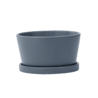 Blue Dish Garden Planter