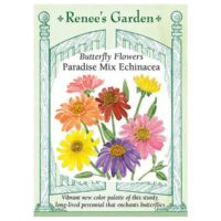 Echinacea, Paradise Mix