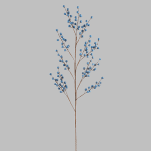Blue Berry Branch