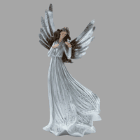 Elegant Silver Wing Angel