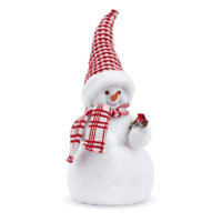 Snowman Holding Cardinal