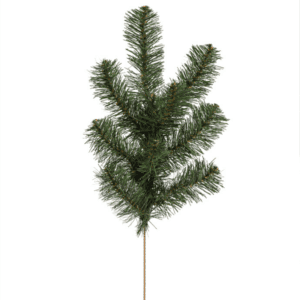 Douglas Fir Spray