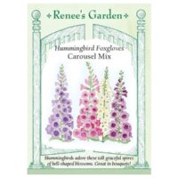 Foxglove, Carousel Mix