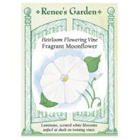 Moonflower Vine, Scented