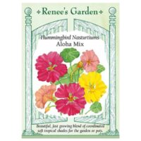 Nasturtium, Aloha Mix