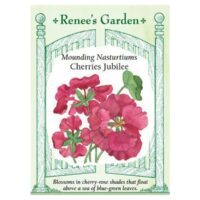 Nasturtium, Cherries Jubilee