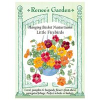 Nasturtium, Container, Little Firebirds