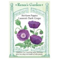 Poppy, Heirloom, Lauren's Dark Grape