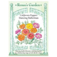 Poppy, California, Dancing Ballerina