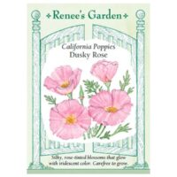 Poppy, California, Dusky Rose