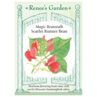 Runner Beans, Magic Beanstalk