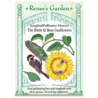 Sunflower, Birds and Bees