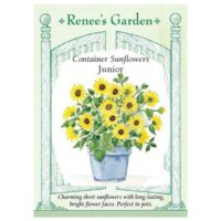 Sunflower, Container, Junior