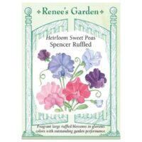 Sweet Pea, Spencer Ruffled