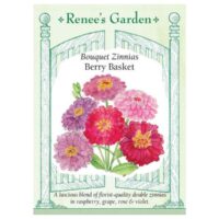 Zinnia, Bouquet, Berry Basket