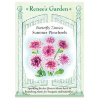 Zinnia, Butterfly, Summer Pinwheels