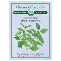 Basil, Italian Genovese Organic
