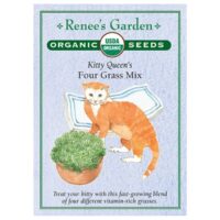 Cat Grass, Kitty Queen Mix Organic