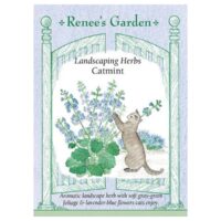 Catmint, Ornamental Landscaping