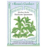 Spearmint, Italian