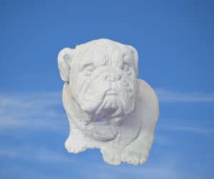 Concrete Dog, Bulldog