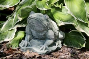 Concrete Frog, On Lilypad, Large