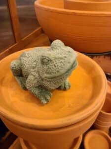 Concrete Frog, Speckled