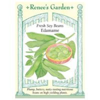 Bean, Soy, Edamame