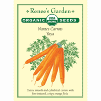 Carrot, Nantes, Yaya Organic