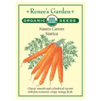 Carrot, Nantes, Starica Organic
