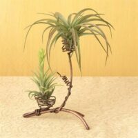 Double Air Plant Holder