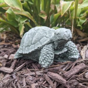 Concrete Turtle, Small