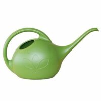 Novelty Indoor Watering Can