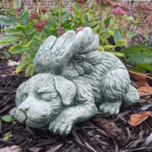 Concrete Dog, Angel
