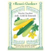 Squash, Summer Zucchini, Tricolor