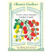 Tomato, Cherry, Garden Candy