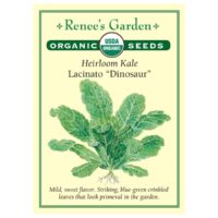 Kale, Lacinato, Dinosaur Organic