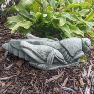 Concrete Grasshopper