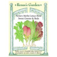 Lettuce, Farmers Market Blend