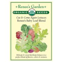 Lettuce, Special Baby Leaf Blend Organic