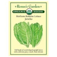 Lettuce, Romaine, Jericho Organic