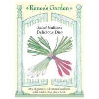 Scallions, 2-Color Delicious Duo