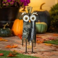 Owl Queen