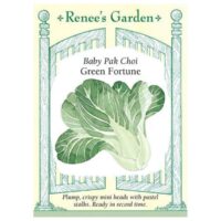 Pak Choi, Baby, Green Fortune