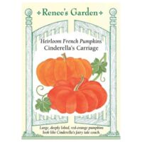 Pumpkin, Jumbo, Cinderella's Carriage