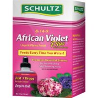 Schultz African Violet Plus