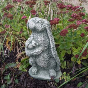 Concrete Rabbit, With Carrot