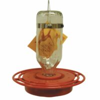Best 1 Hummingbird Feeder
